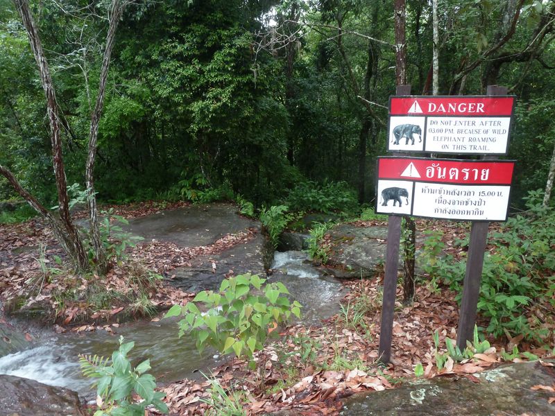 Sign be aware of elephants;, Phu Kradung, Thailand